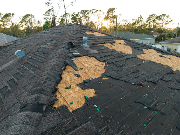 Best 4 Ply Roofing  in Irving, TX