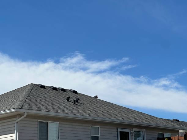 Best Commercial Roofing Services  in Irving, TX