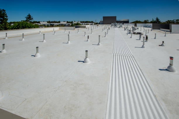 Best Flat Roofing  in Irving, TX